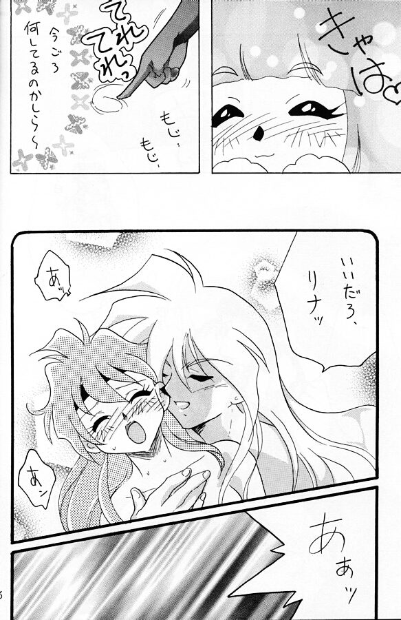 [銀桃堂 (みたさとみ)] SLAYERS ADULT 11 (スレイヤーズ)