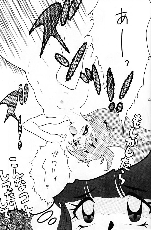 [銀桃堂 (みたさとみ)] SLAYERS ADULT 11 (スレイヤーズ)