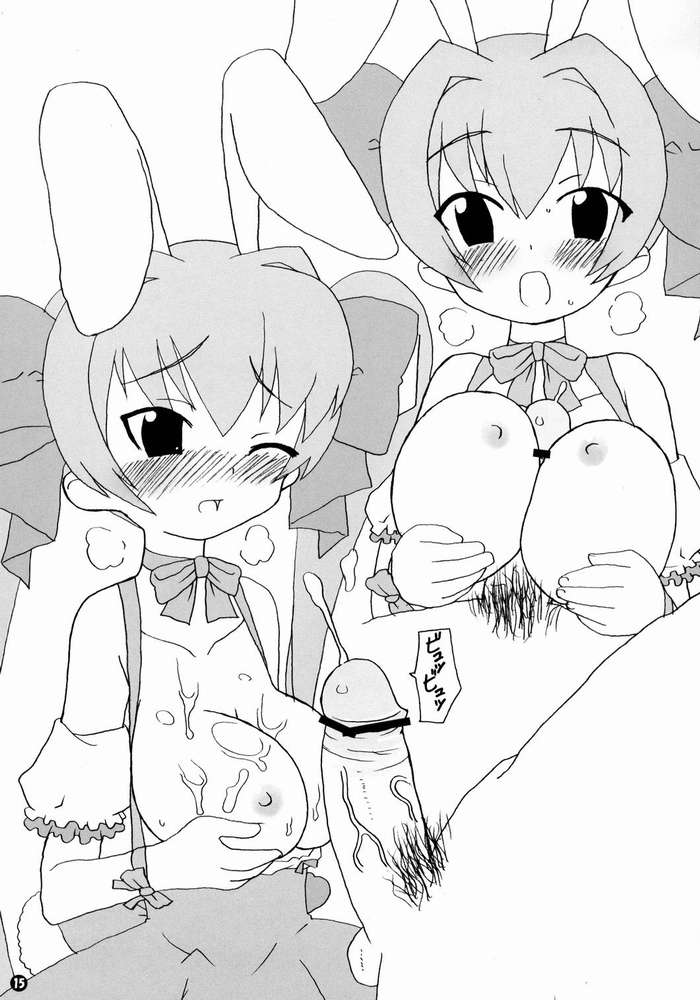 (C65) [BONUSSHOP (ひらきなおる)] Party Night (デ・ジ・キャラット)