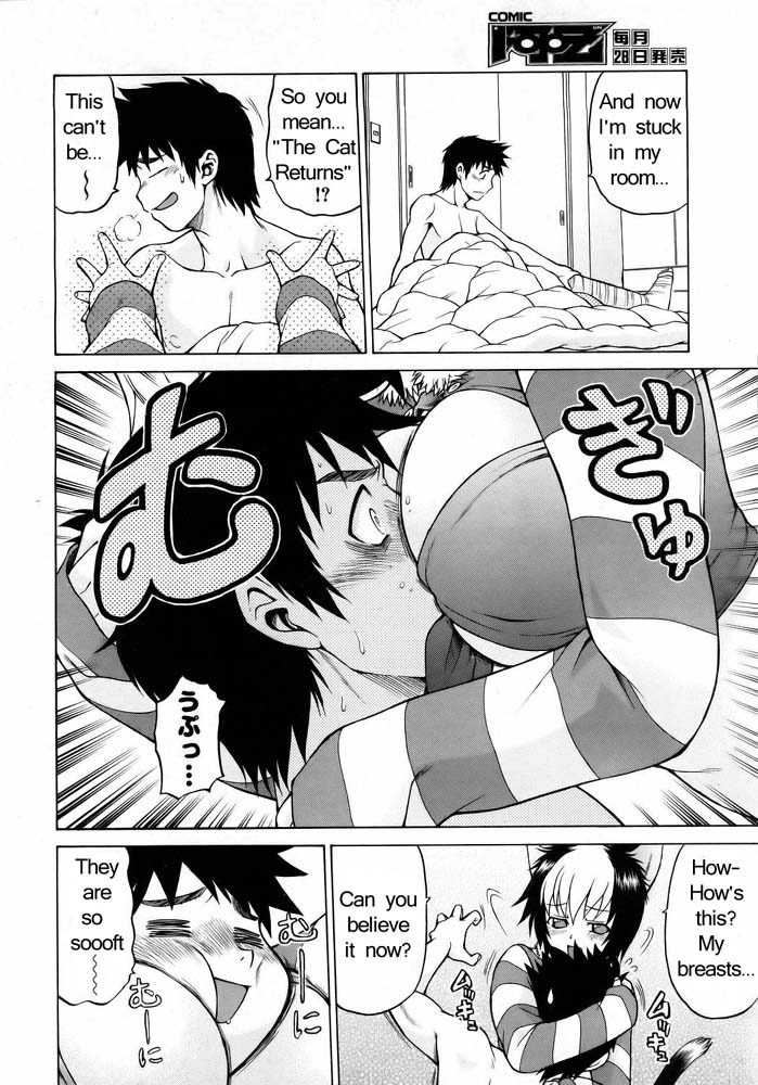 ミラクルキティパンチ[英語] [書き直し]