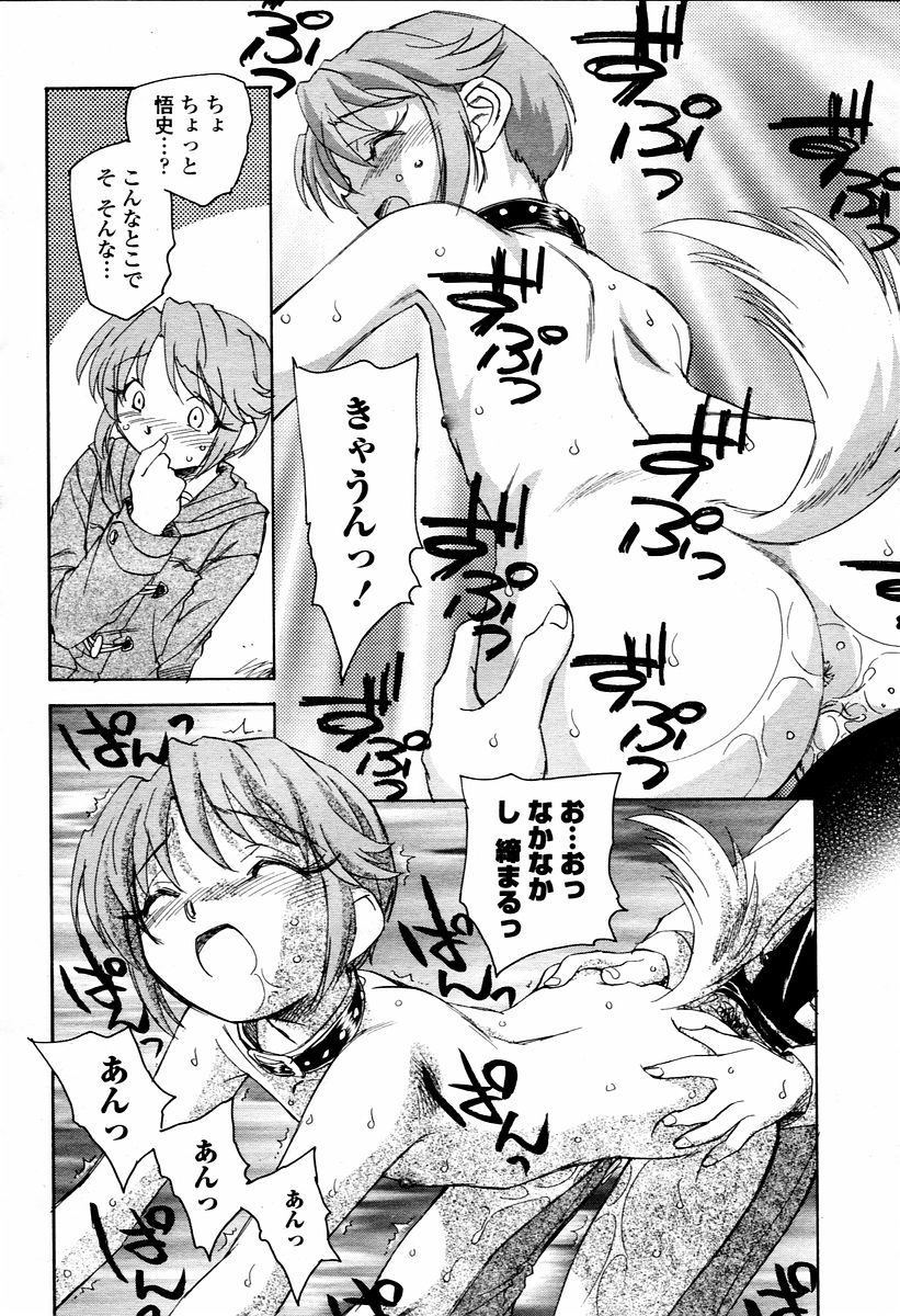 COMIC 桃姫 2006年02月号