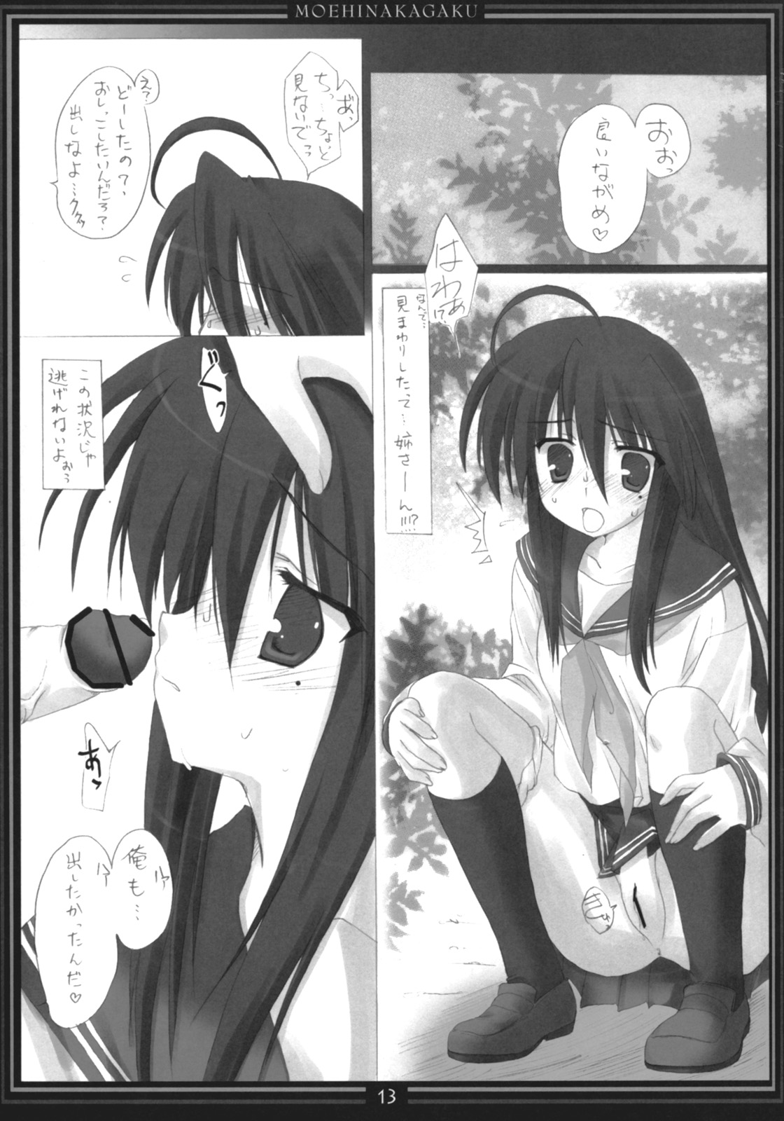 [萌雛化学 (雛祭桃子)] STAR☆SANCTUARY (らき☆すた)