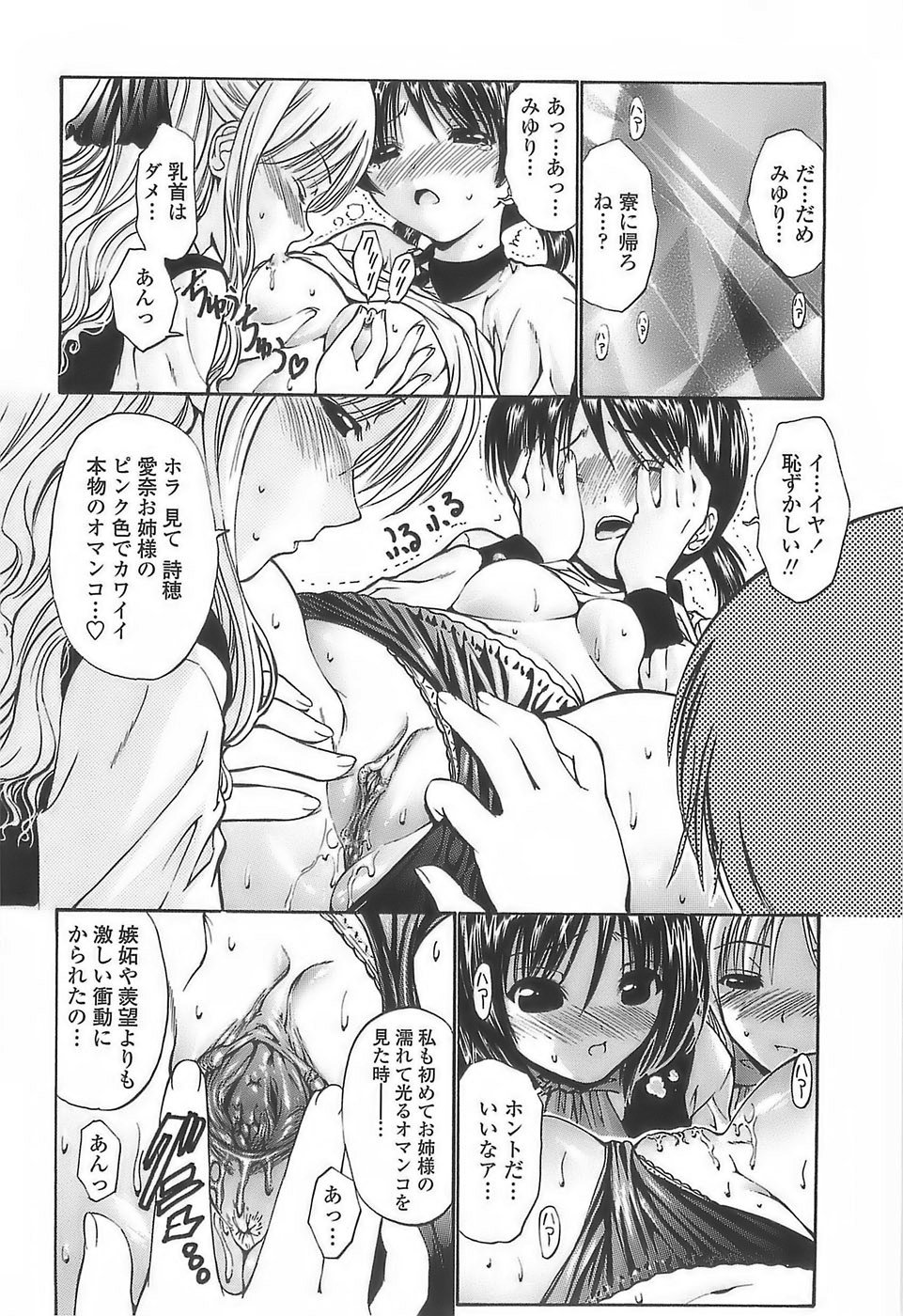[西川康] あげはのおとめ
