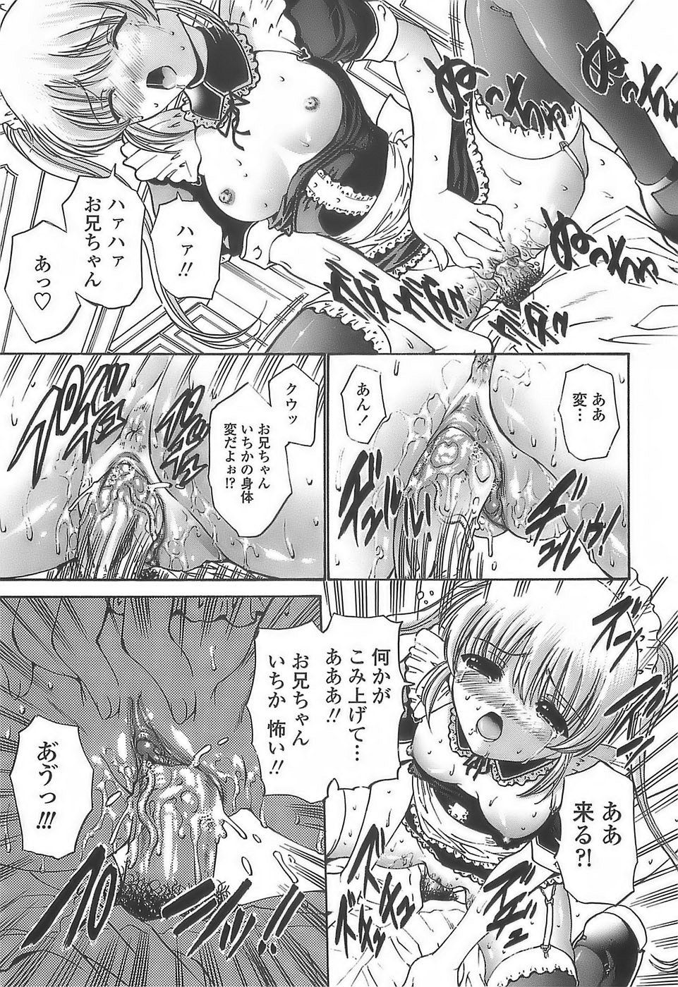 [西川康] あげはのおとめ