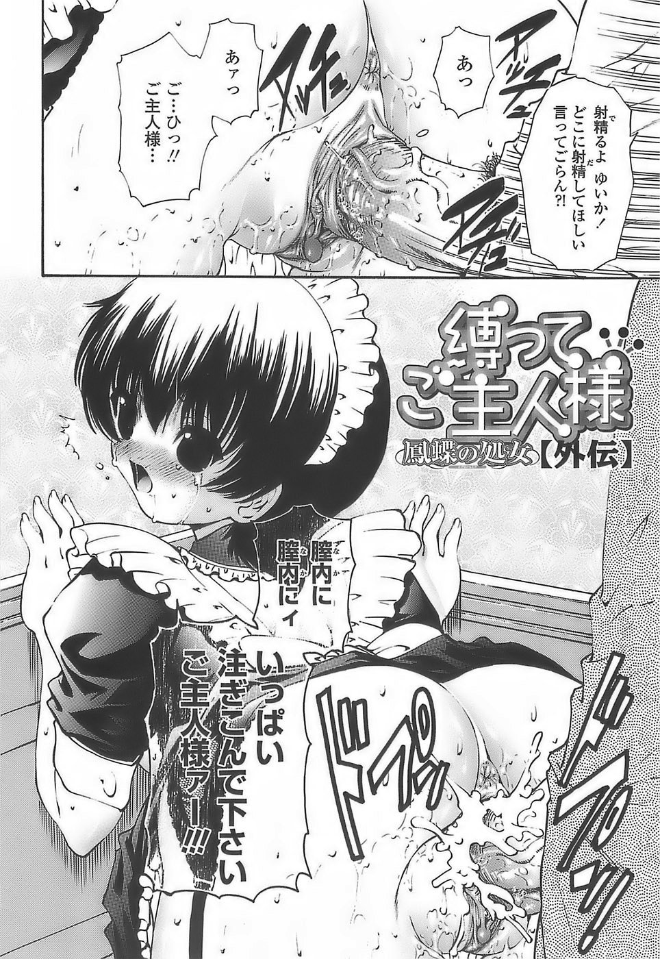[西川康] あげはのおとめ