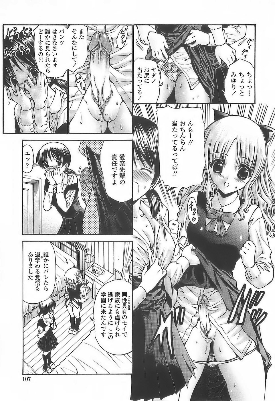 [西川康] あげはのおとめ