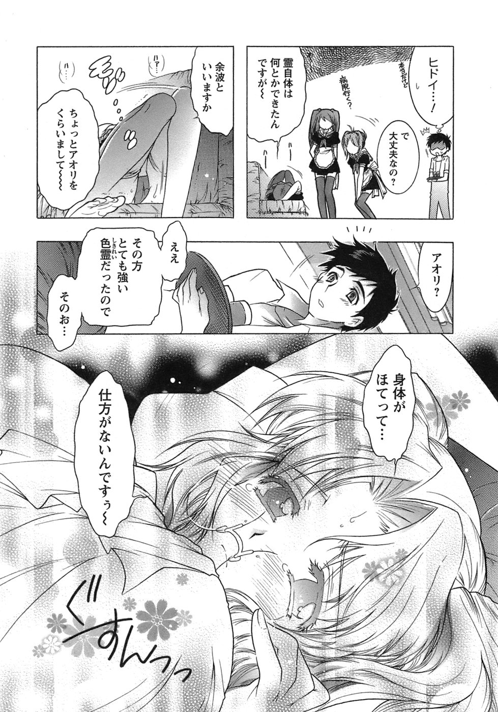 [ほんだありま] 運んでニャンコ！