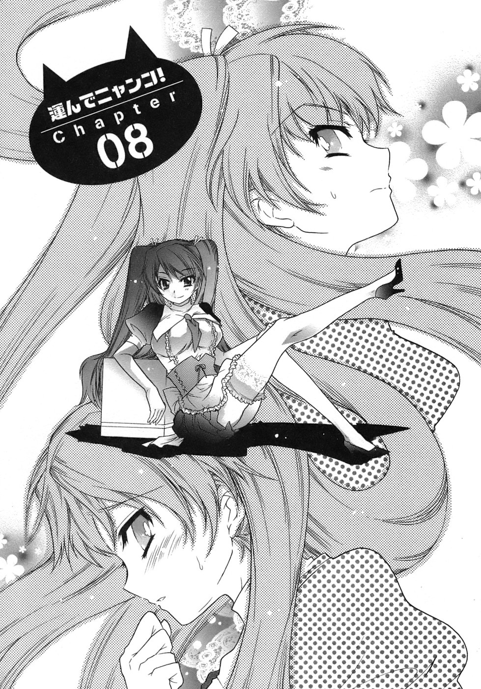 [ほんだありま] 運んでニャンコ！