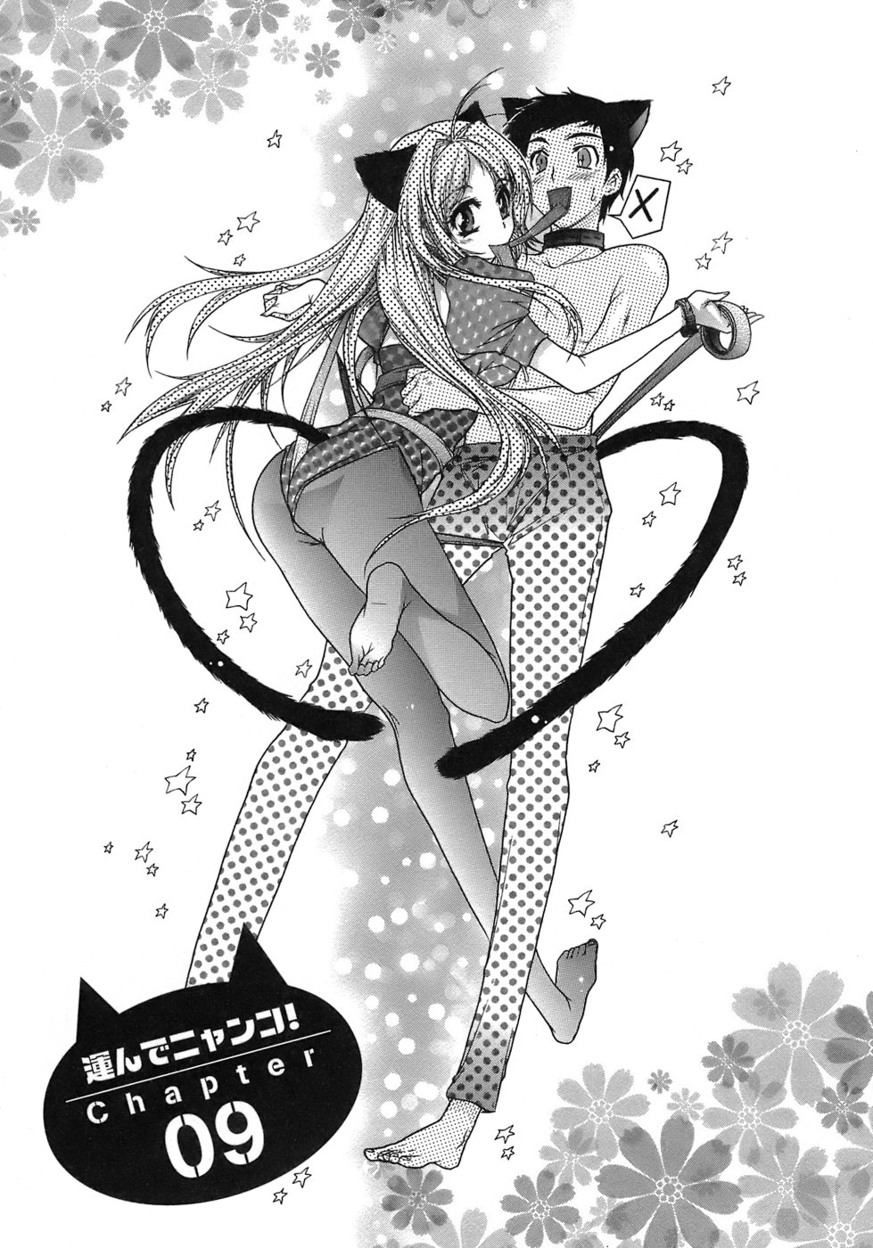 [ほんだありま] 運んでニャンコ！