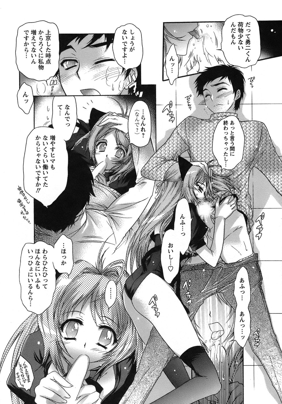 [ほんだありま] 運んでニャンコ！