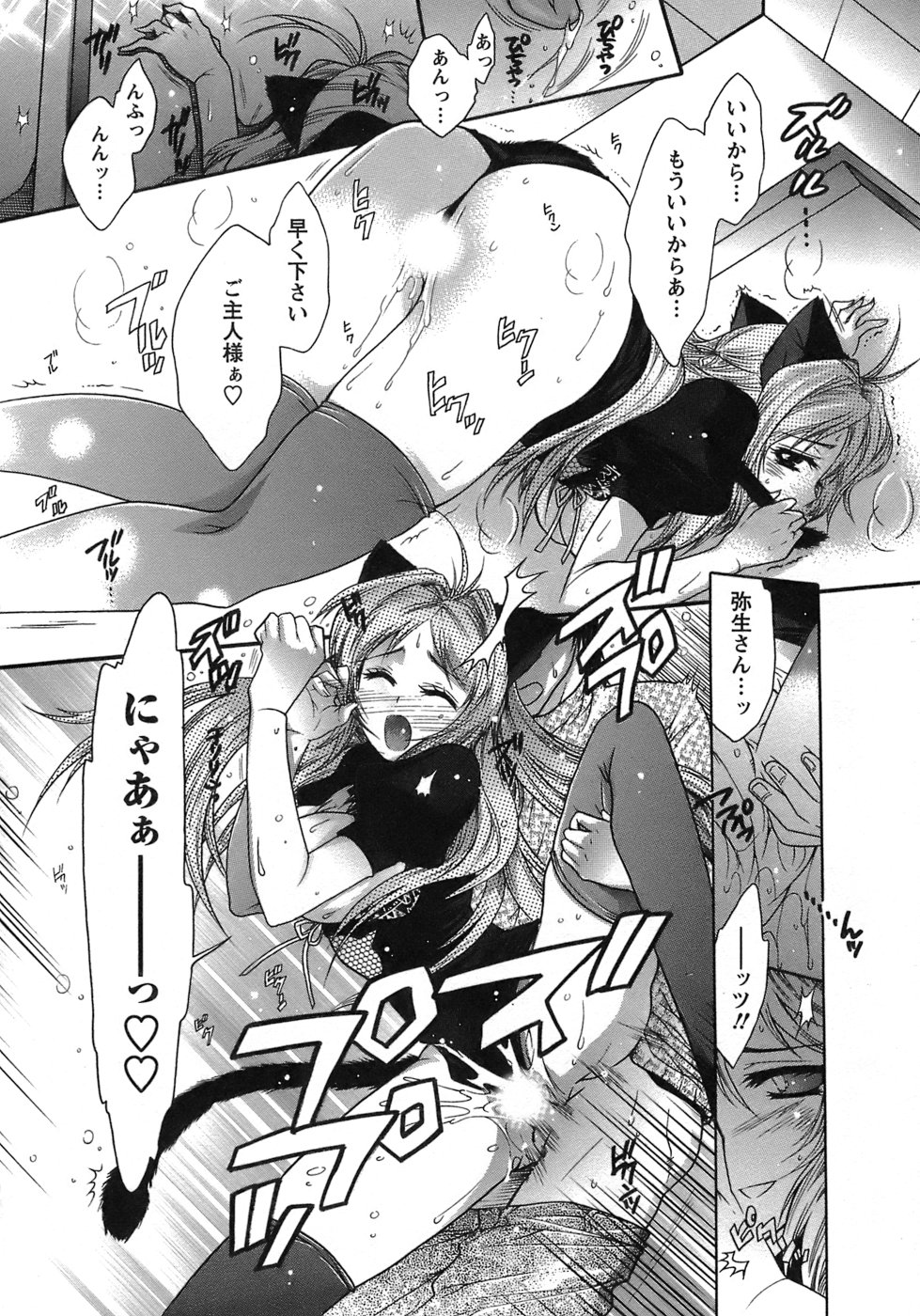 [ほんだありま] 運んでニャンコ！