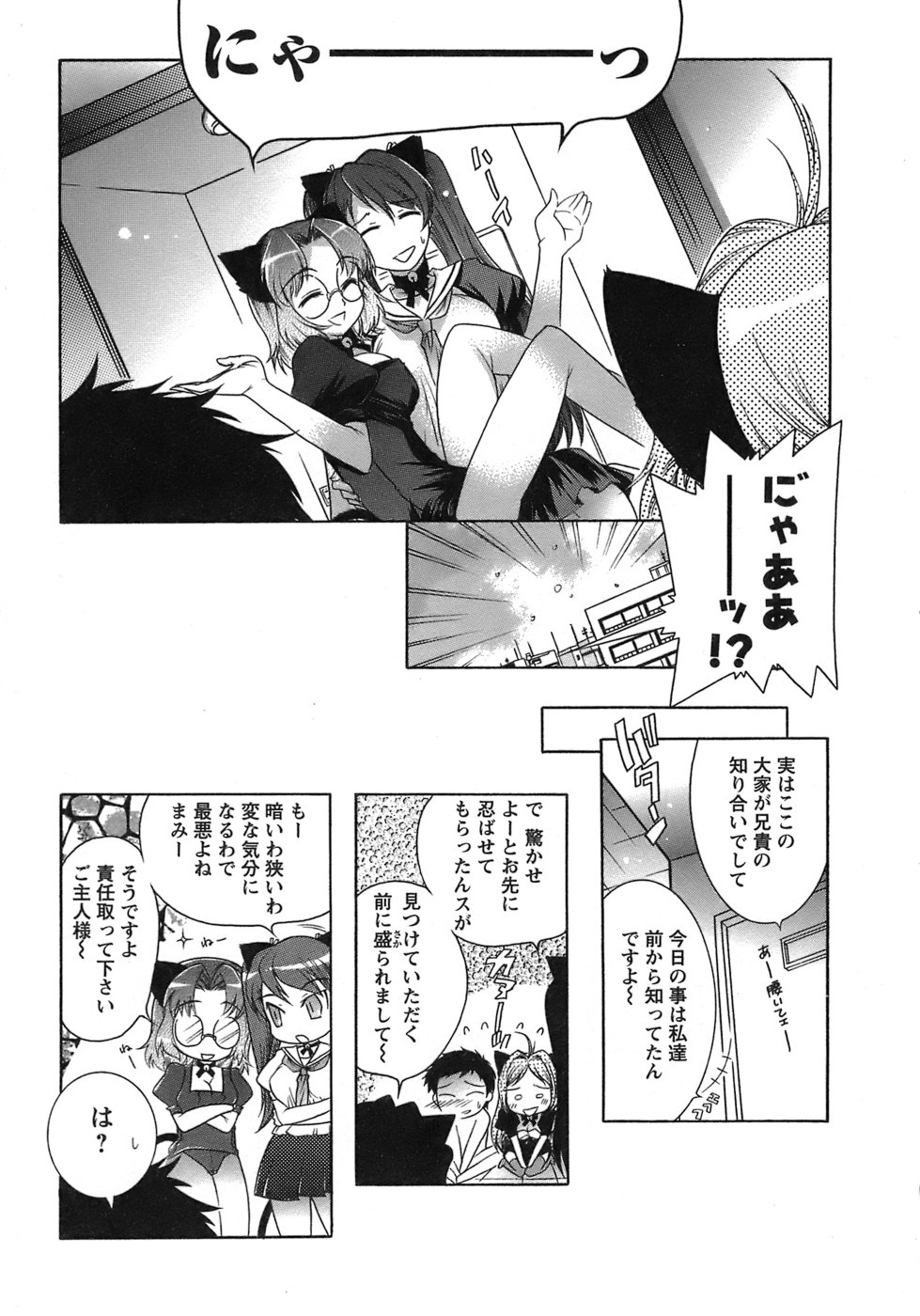 [ほんだありま] 運んでニャンコ！