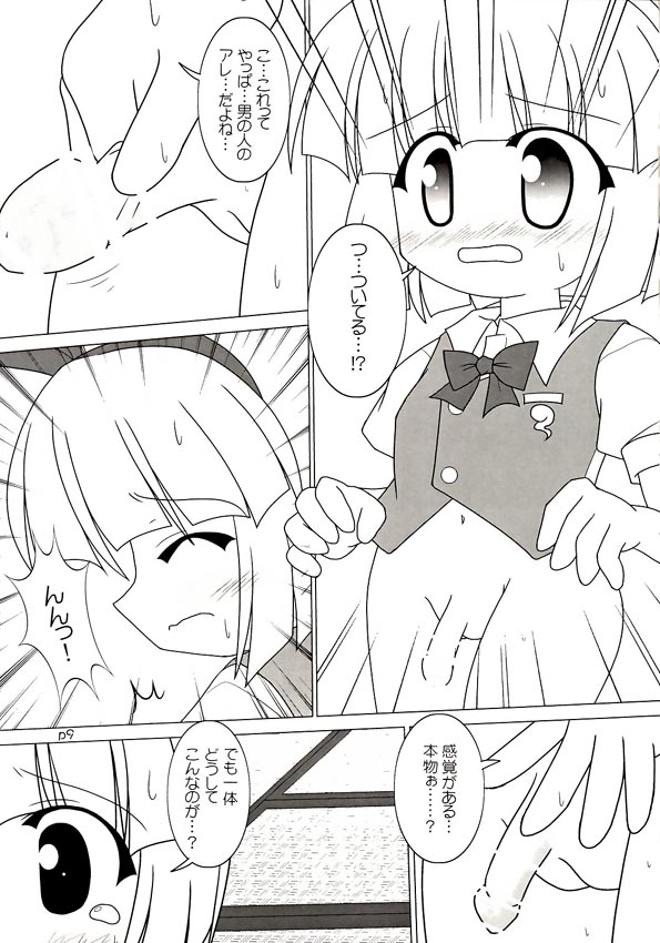 (C66) [GROUND-Zero (戌亥)] 幽幻実行 (東方Project)