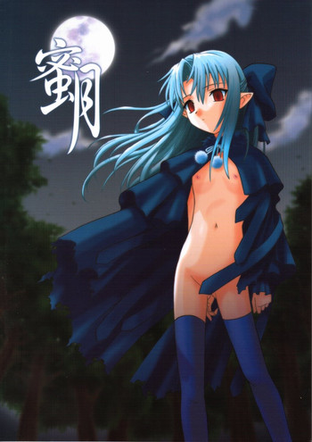 (C61) [.30-06 (つつみあかり)] 蜜月 (月姫)