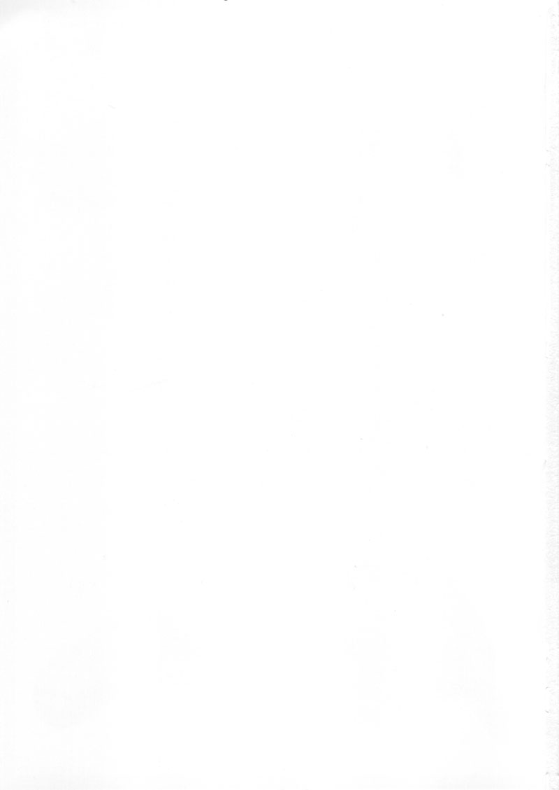 (C60) [甲冑娘 (よろず)]月刊ブラジル (よろず)