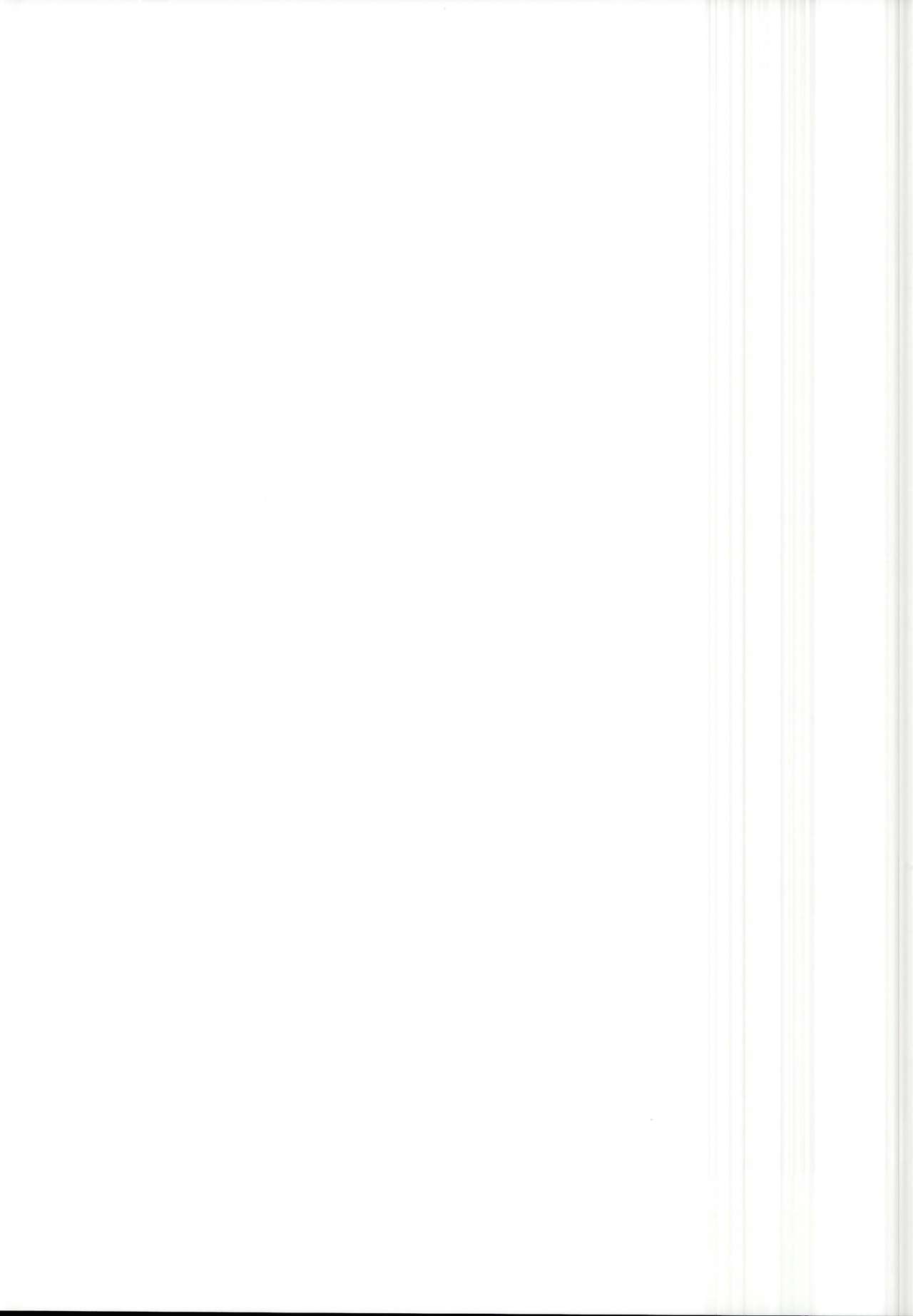 (C95) [とらいしっくす (とらいし666)] FGOの不健全なイラスト本 (Fate／Grand Order)