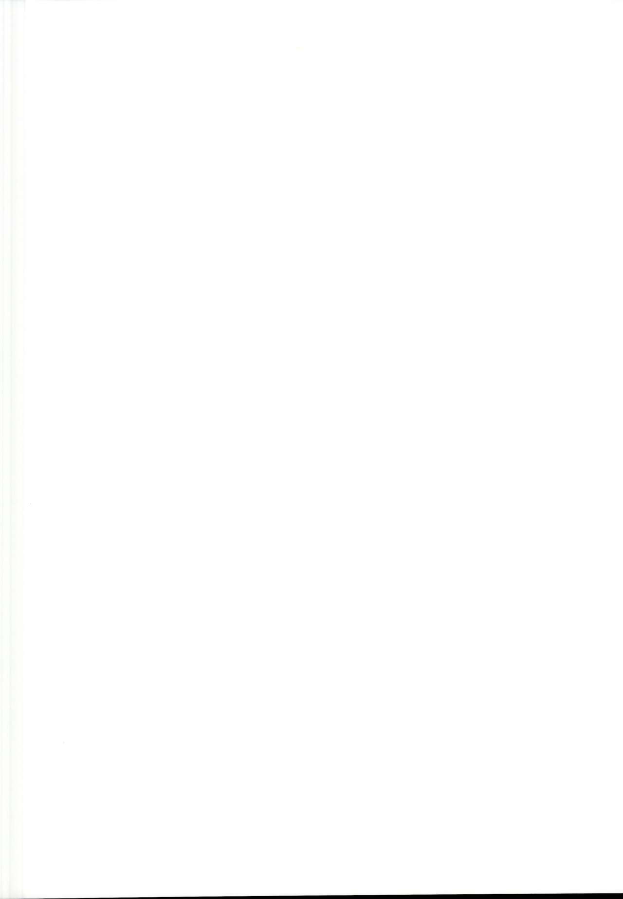 (C95) [とらいしっくす (とらいし666)] FGOの不健全なイラスト本 (Fate／Grand Order)