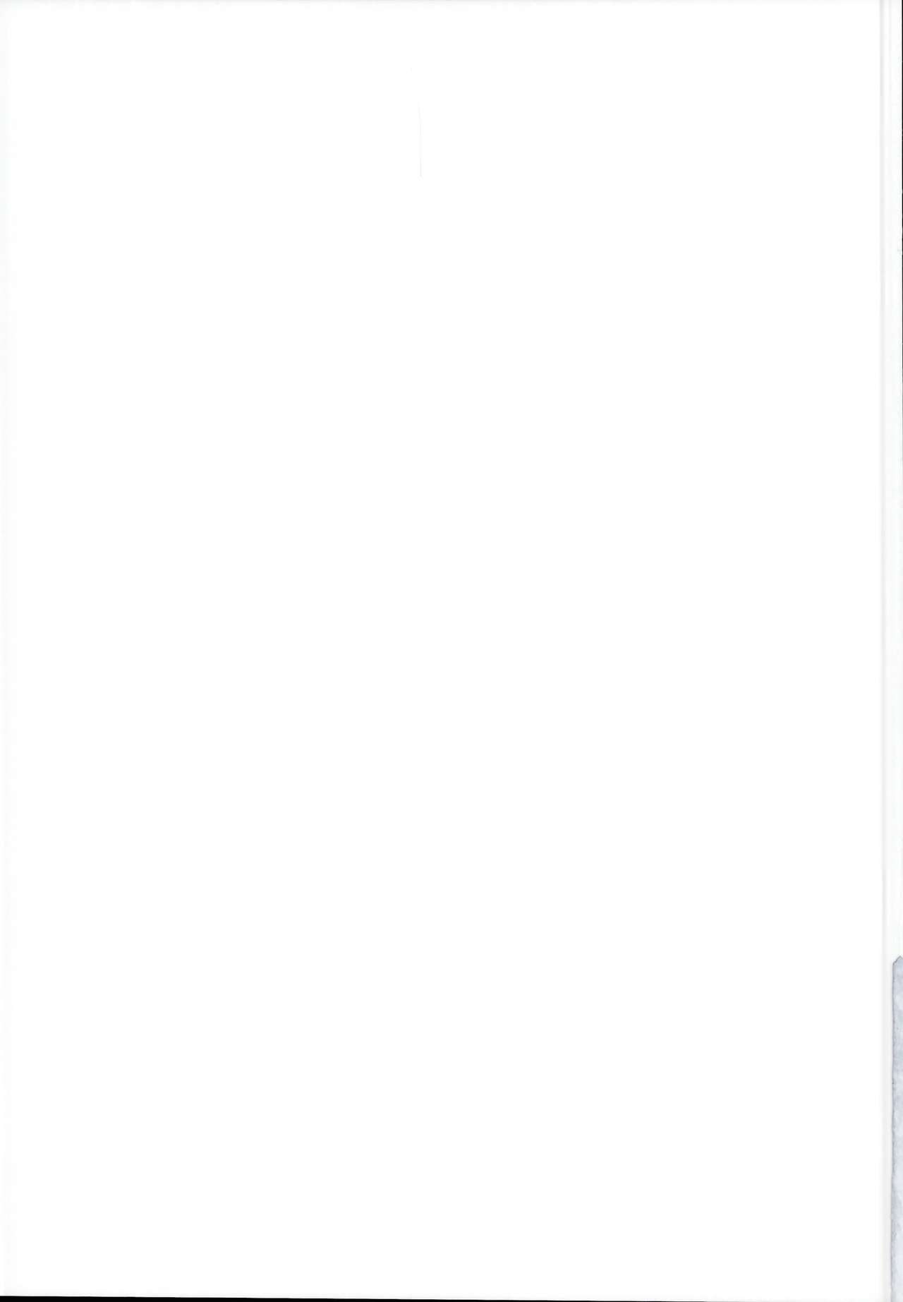 (C95) [しろくろうさ (スギユウ)] 檻の中のイリヤちゃん～魔法少女～ (Fate/kaleid liner プリズマ☆イリヤ)