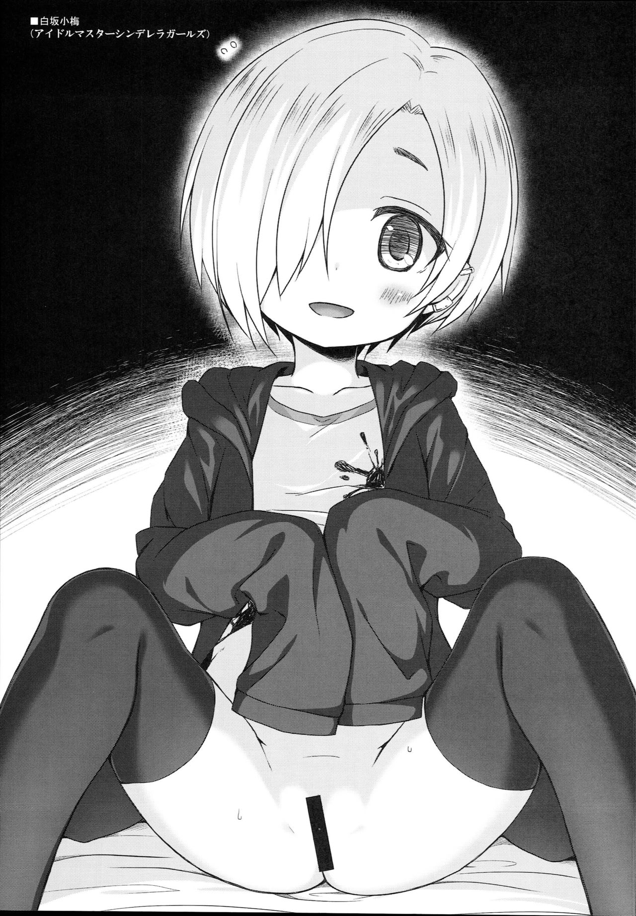 (C95) [ノラネコノタマ (雪野みなと、日辻ハコ)] たまや 十七発目 (よろず)