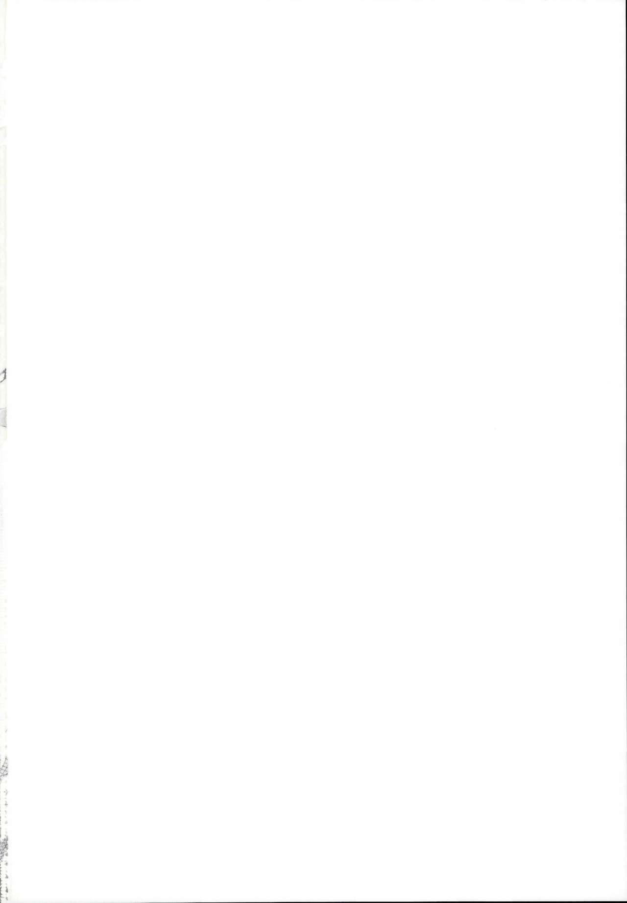 (C95) [Handful☆Happiness! (七原冬雪)] HORNY BUNNY (グランブルーファンタジー)