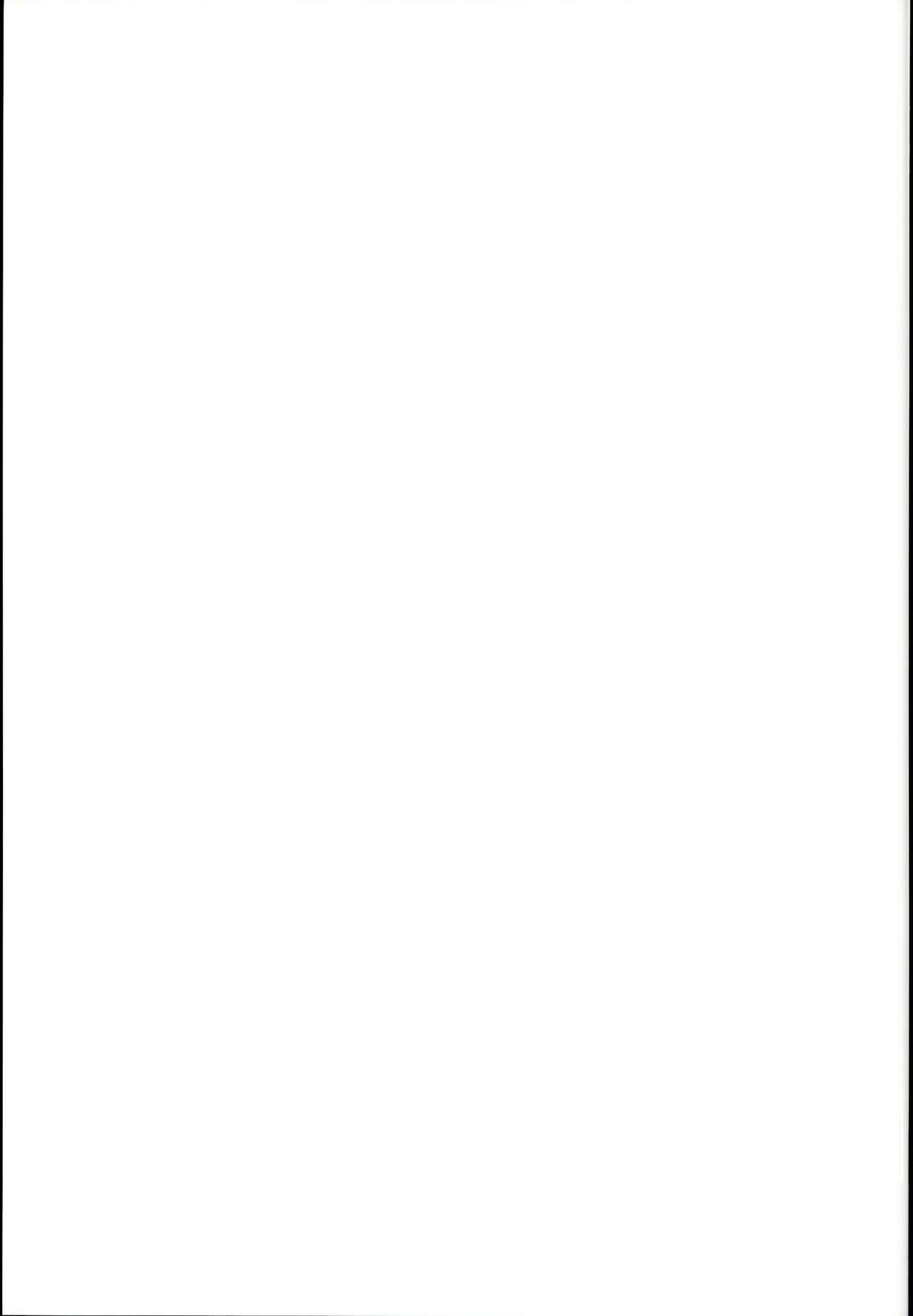 (C95) [Batsu freak (清宮涼)] ゴムからはじまるロマンスもある