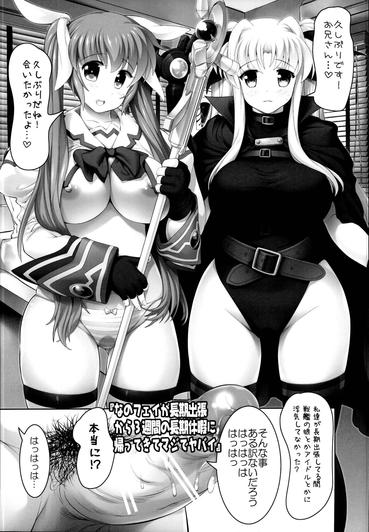 (C95) [STUDIOふあん (来鈍)] なのフェイ 総集編 (魔法少女リリカルなのは)