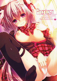 (C87) [猫茶畑 (おーじ茶)] Phantasm