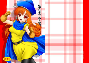 [愛は暗闇 (まるいりゅう)] 姫さま、参るっ (ドラゴンクエストIV) [DL版]