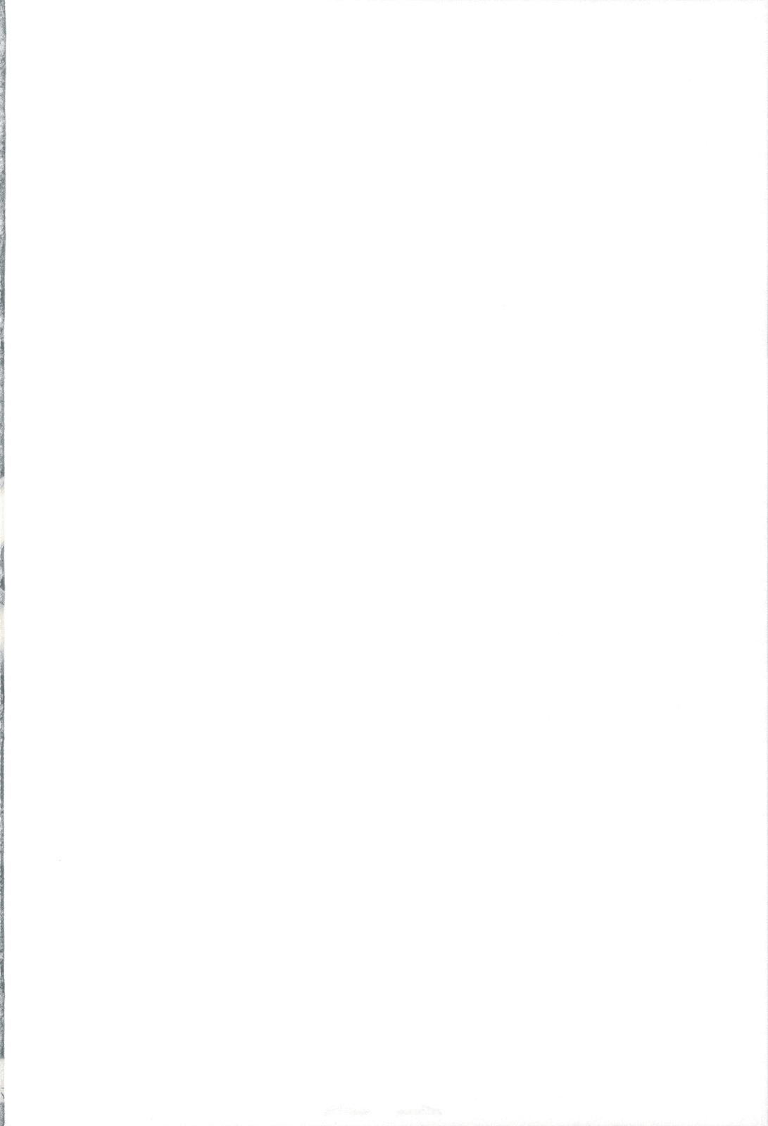 (C80) [かしわ屋 (ひよひよ)] 淫行少女隊-マホウショウジョタイ- (魔法少女まどか☆マギカ) [英訳]