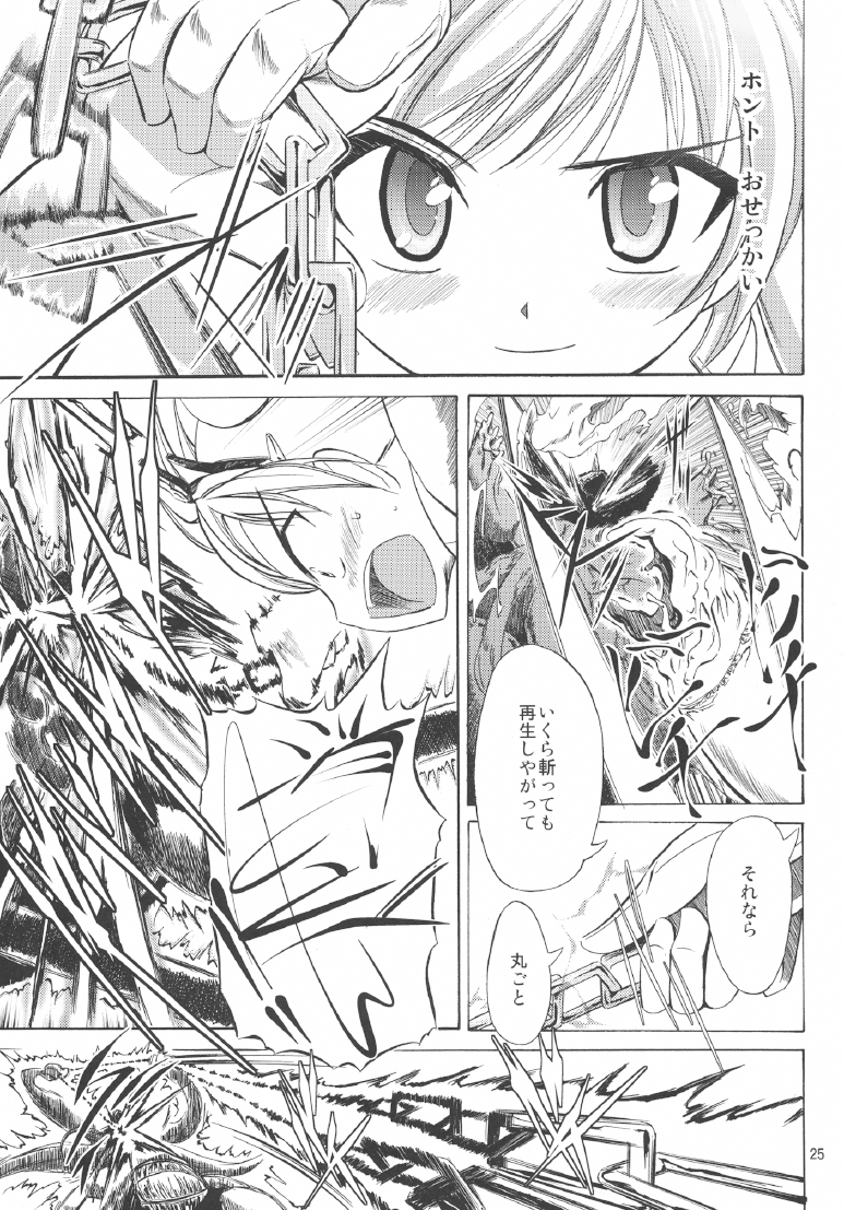 [NorthernWind] 雷ノひかり