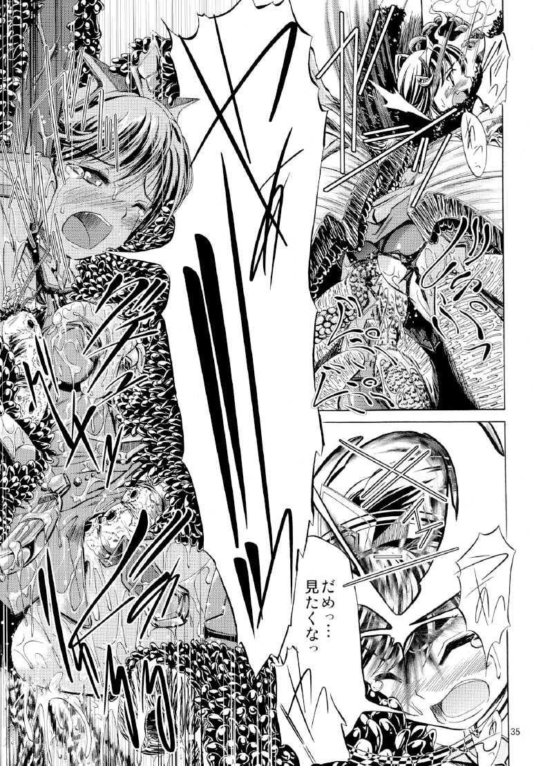 [NorthernWind] 雷ノひかり