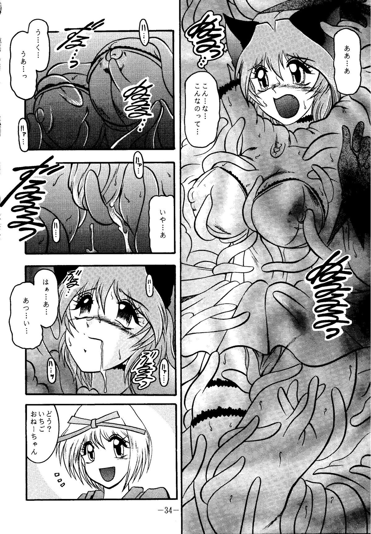 (サンクリ19) [スタジオきゃうん (村上雅貴, 榊しげる)] RIBBON APPLE POPS (東京ミュウミュウ)