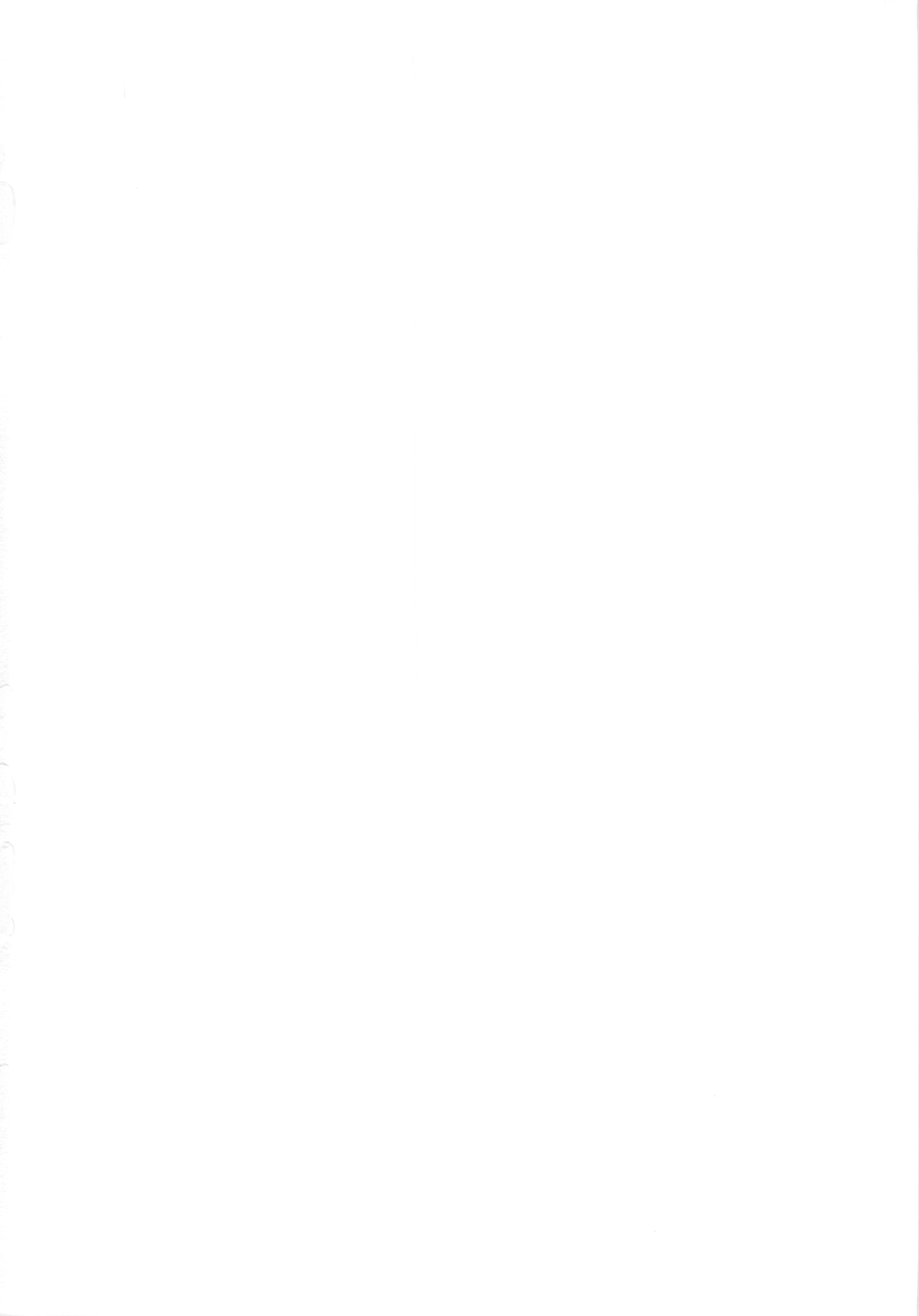 (COMIC1☆4) [鴨川屋 (鴨川たぬき)] Nines SIDE-N (魔法少女リリカルなのは)