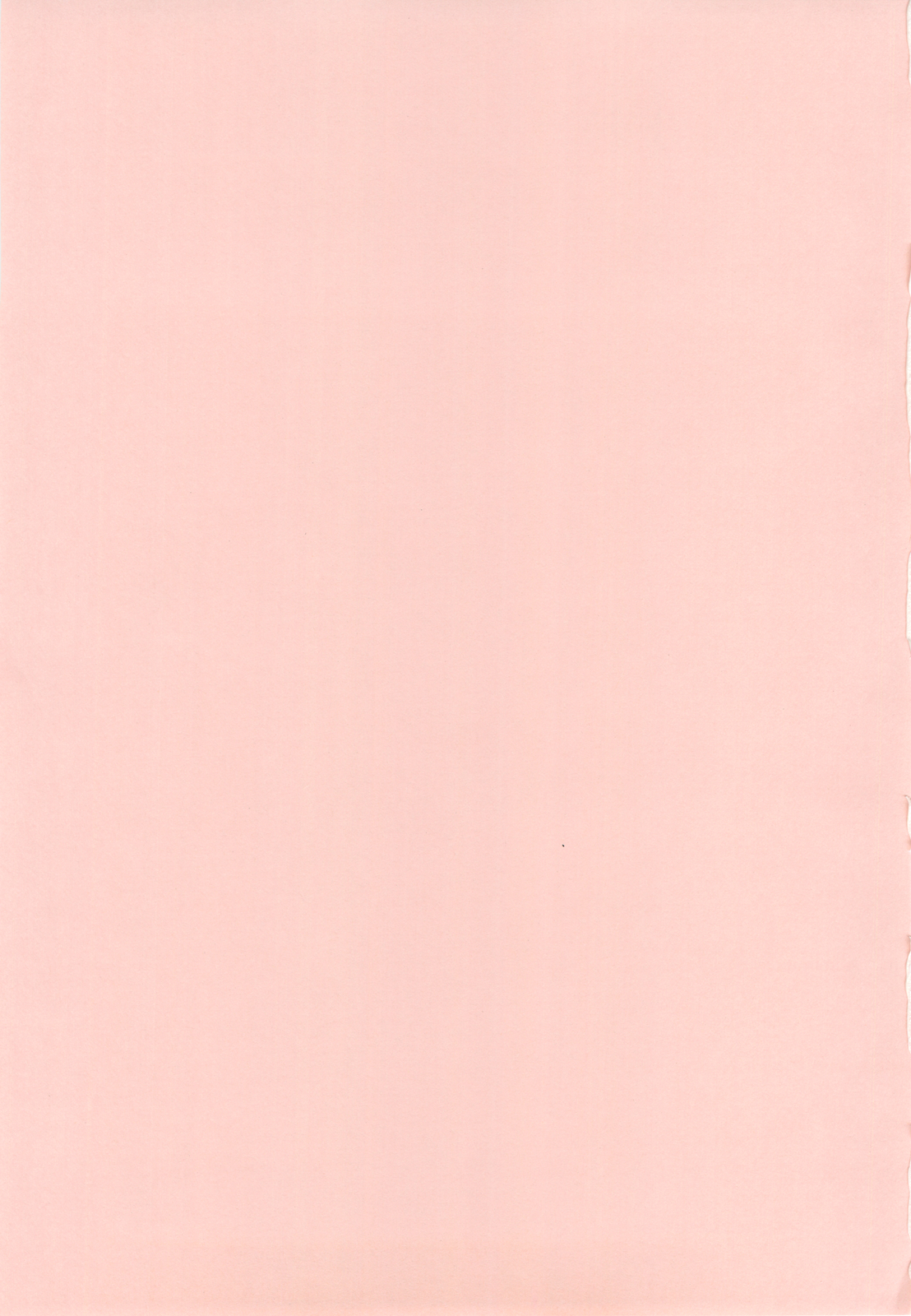 (COMIC1☆4) [鴨川屋 (鴨川たぬき)] Nines SIDE-N (魔法少女リリカルなのは)