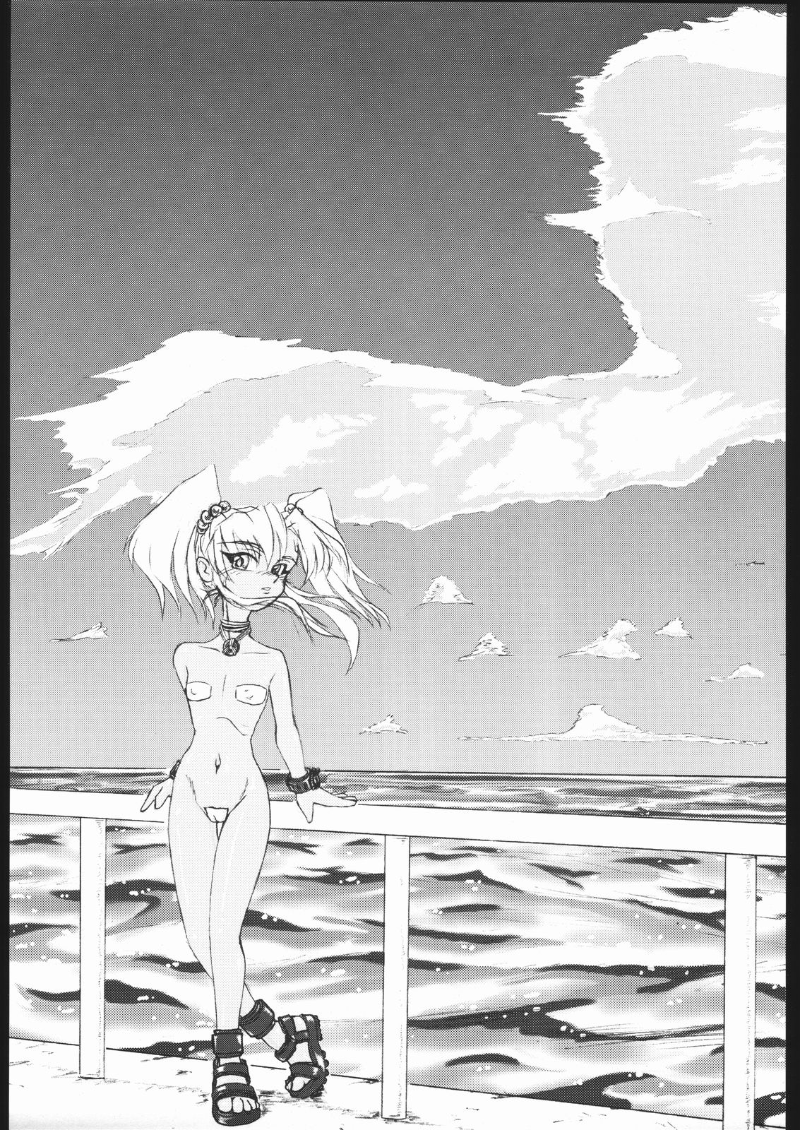 (同人誌) [㈱ネルガル空路システム広報部] 白雨