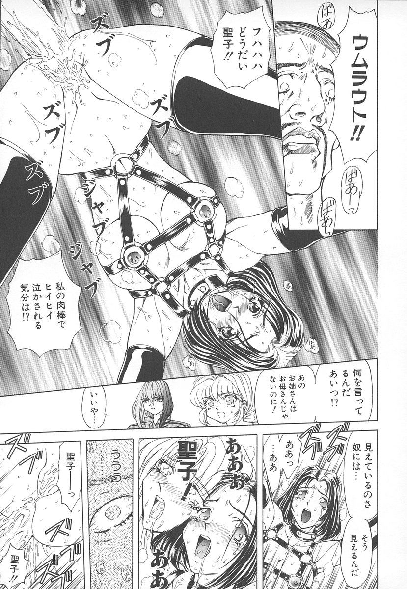 [MARO] シャレーダー <セカンド>