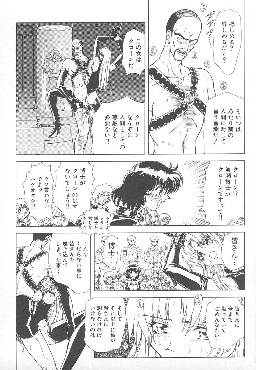 [MARO] シャレーダー <セカンド>