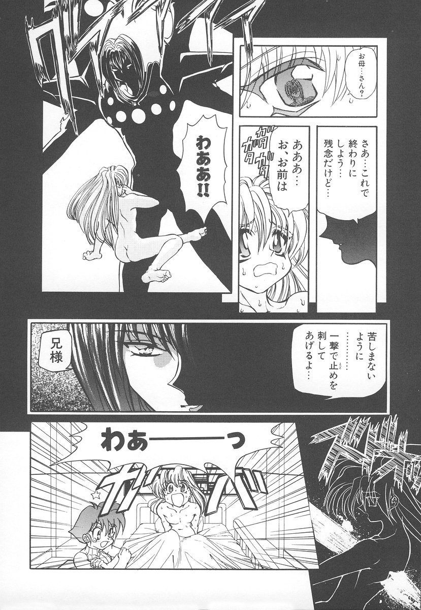 [MARO] シャレーダー <セカンド>