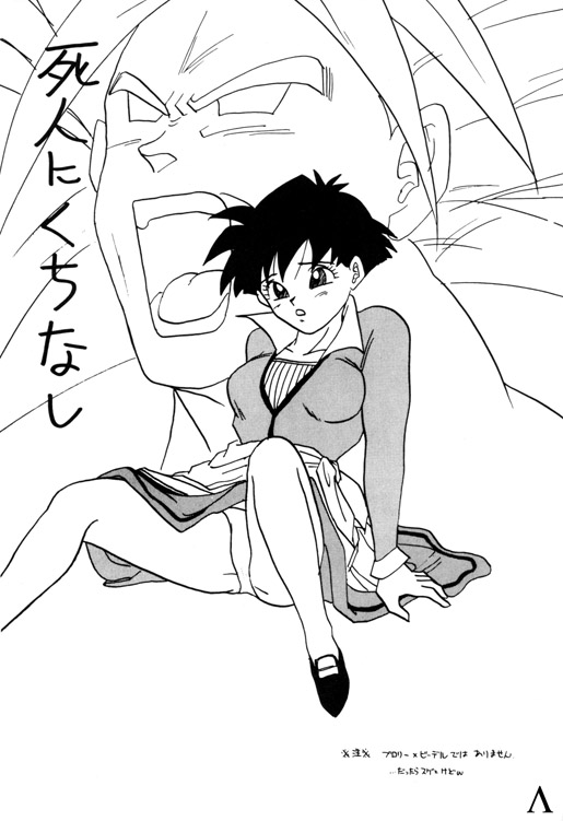 [ちり紙小屋 / ふすま御殿] Y (ドラゴンボール)