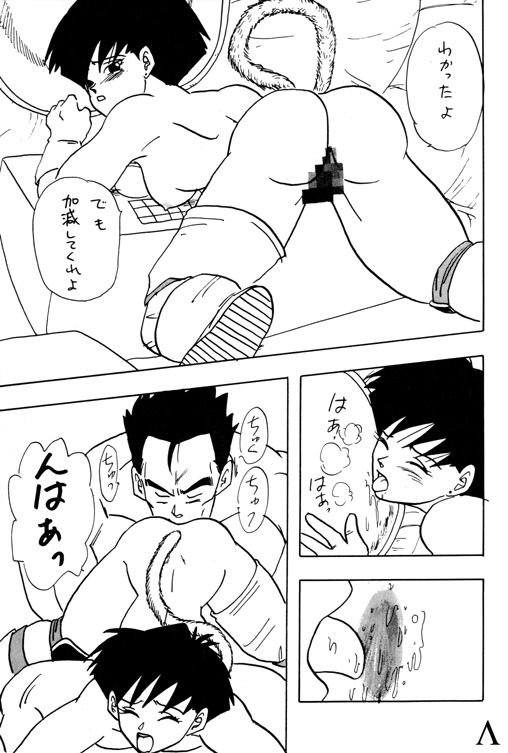 [ちり紙小屋 / ふすま御殿] Y (ドラゴンボール)