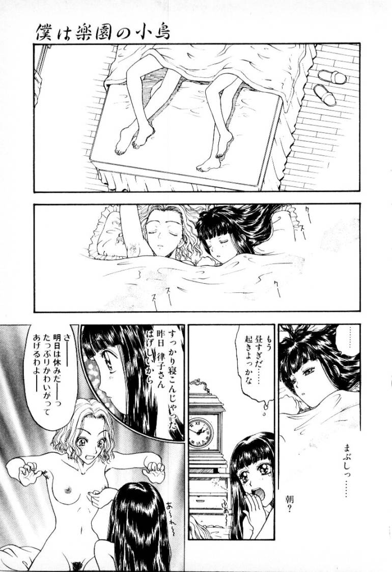 [小林少年] つぼみ