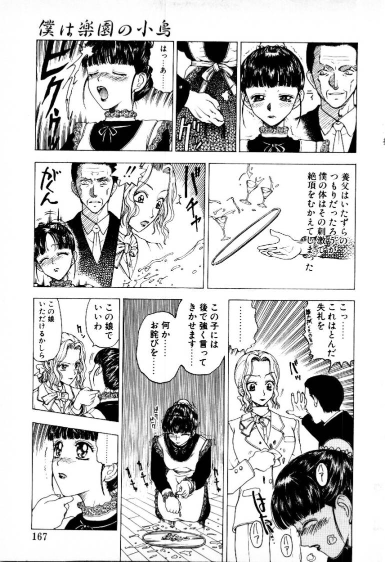 [小林少年] つぼみ