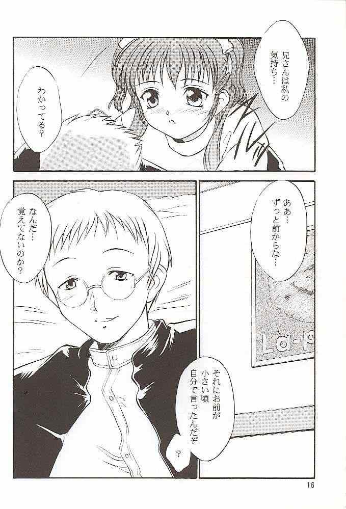 (C56) [夜間飛行 (いのうえとみい)] Salvia remix クロニック ラヴ (ホワイトアルバム)