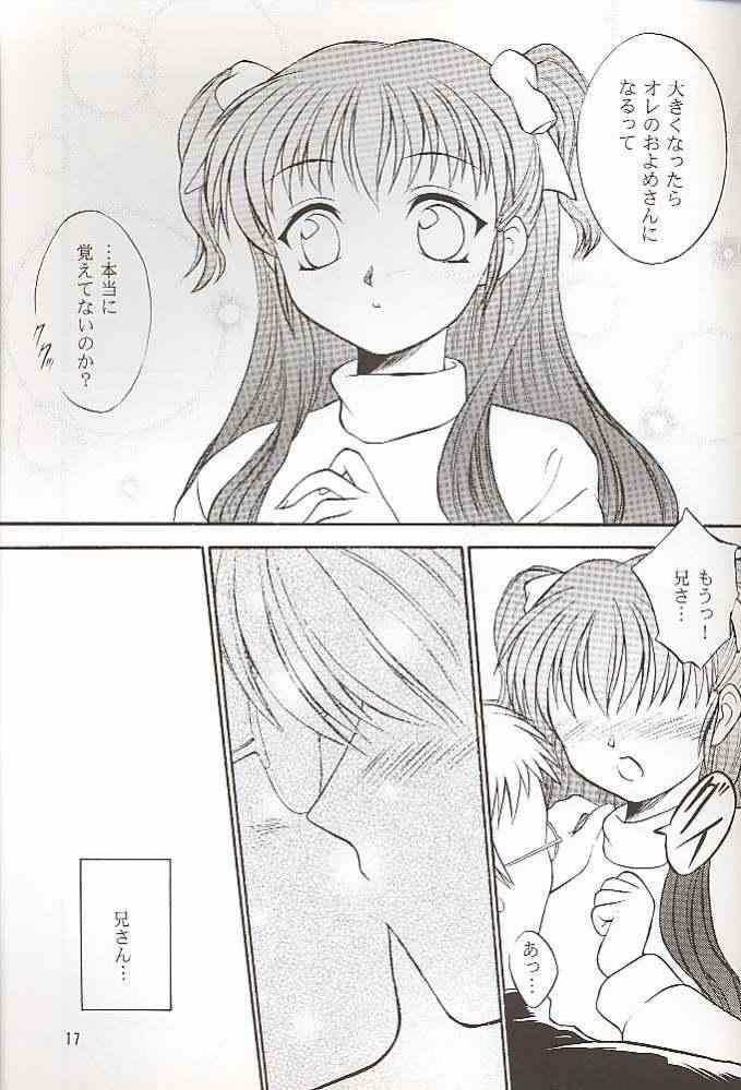 (C56) [夜間飛行 (いのうえとみい)] Salvia remix クロニック ラヴ (ホワイトアルバム)