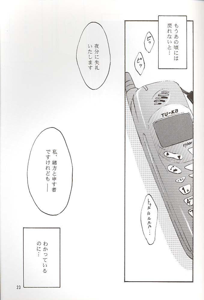 (C56) [夜間飛行 (いのうえとみい)] Salvia remix クロニック ラヴ (ホワイトアルバム)