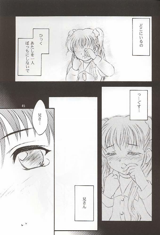 (C56) [夜間飛行 (いのうえとみい)] Salvia remix クロニック ラヴ (ホワイトアルバム)