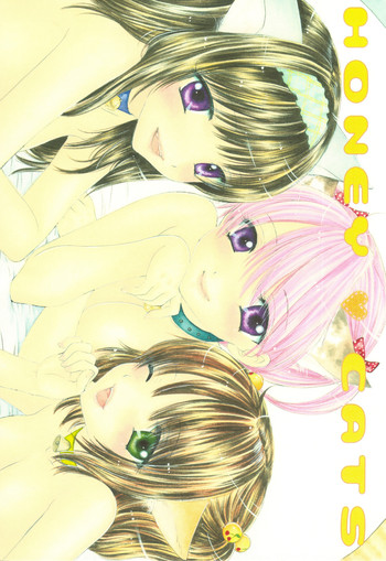 (C75) [BEAT-POP (尾崎未来)] HONEY CATS