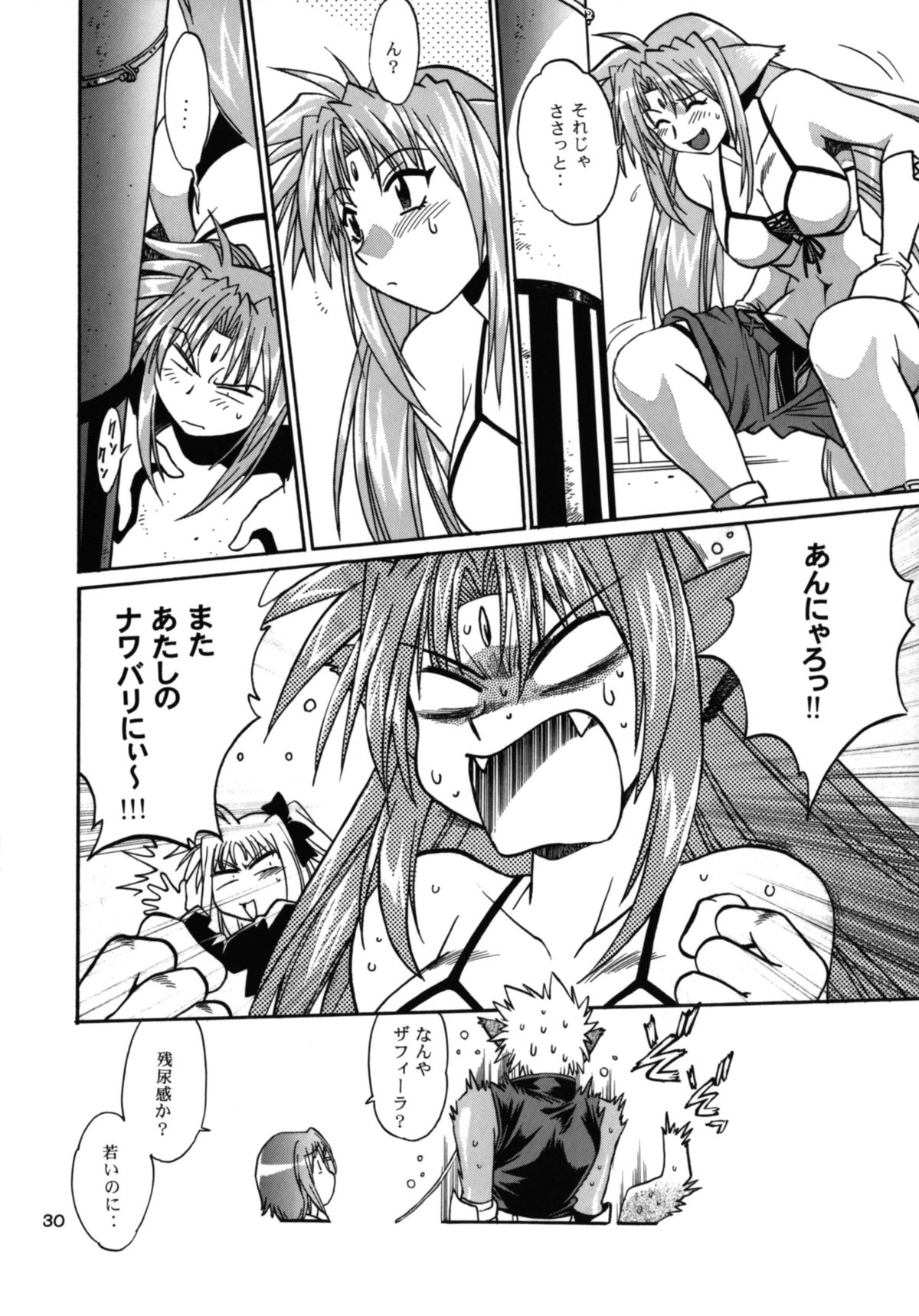 (サンクリ34) [スタジオかつ丼 (真鍋譲治)] 獣たちの晩餐 (魔法少女リリカルなのは)