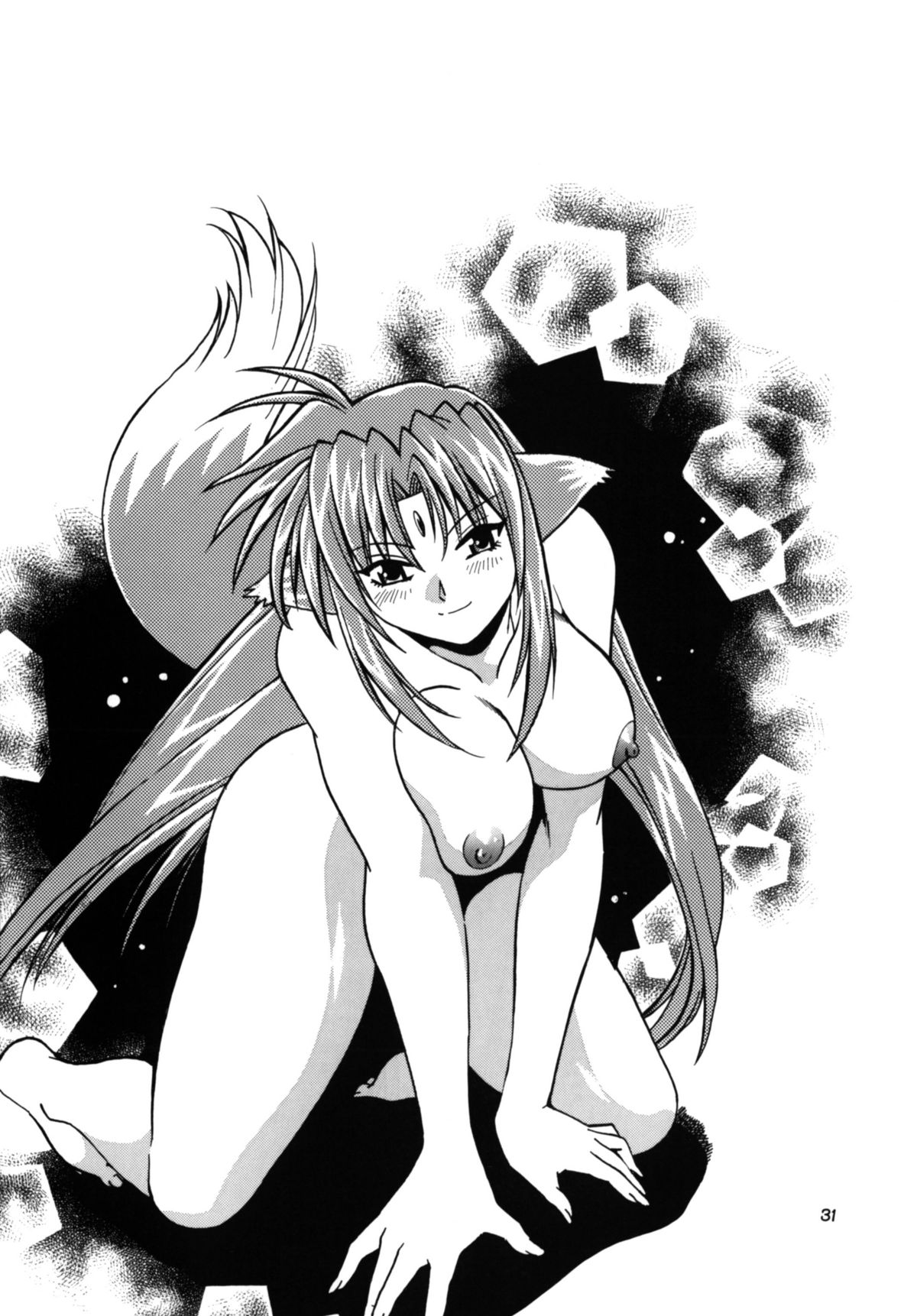 (サンクリ34) [スタジオかつ丼 (真鍋譲治)] 獣たちの晩餐 (魔法少女リリカルなのは)