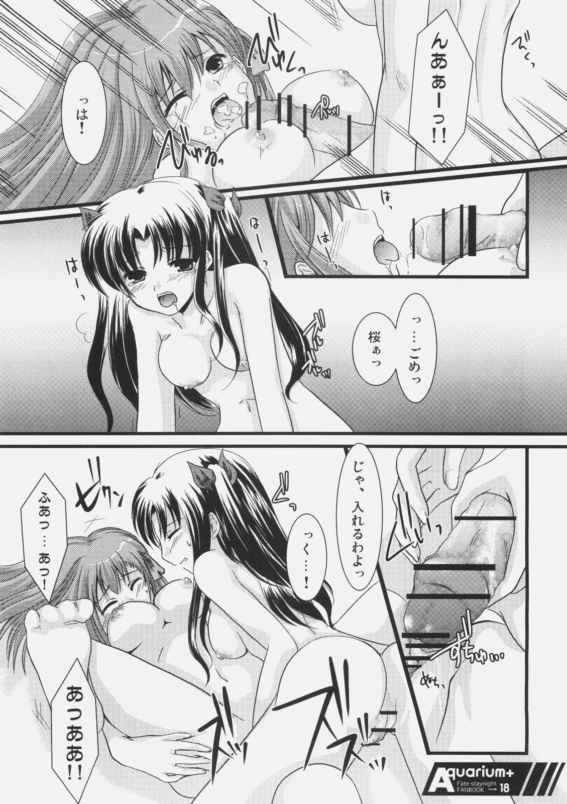 (C70) [はるこまちかん。(中月ゆ～な)] Aquarium+ (フェイト/ステイナイト)